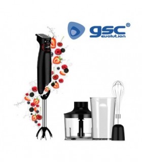 BATIDORA 1000 W MULTIFUNCION MIXER