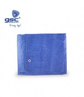 TOLDO POLIETILENO GRIS 4X6M