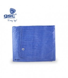 TOLDO POLIETILENO GRIS 5X8M